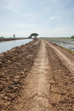 Toprak yol bir delikle 