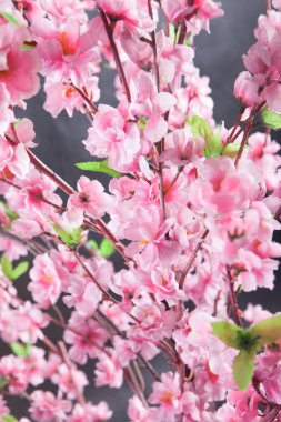 Sahte Sakura ağacı atış stüdyo 