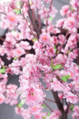 Sahte Sakura ağacı atış stüdyo 