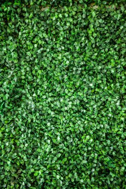 Plastik yeşil çim için arka plan duvar dokusu bırakır,