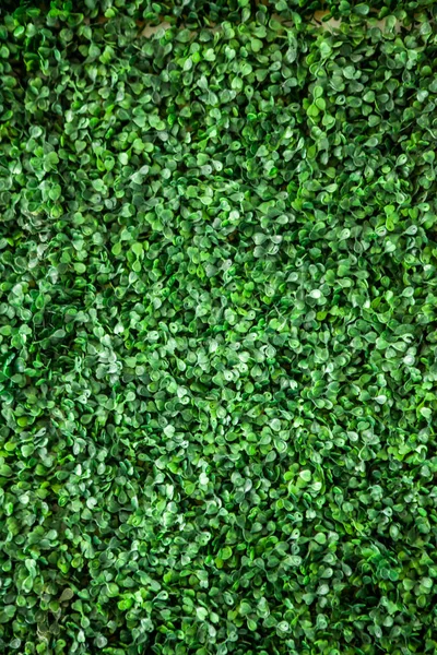 Зелена трава пластикового листя текстури стін для фону , Стокова Картинка