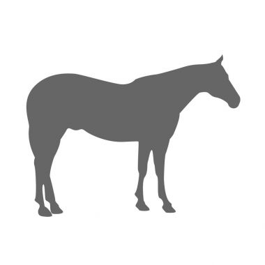 vektör çizim: beyaz zemin üzerine gri atı siluet