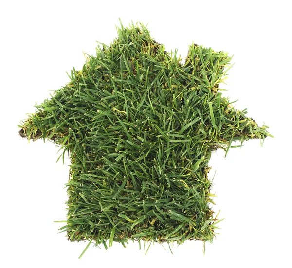 Green Grass Home — Stock Photo, Image