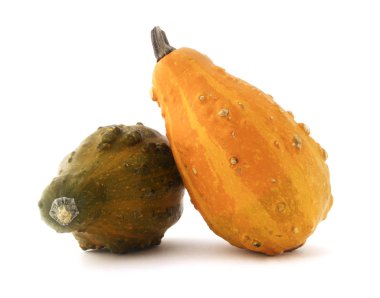 Beyaz izole kabaklar