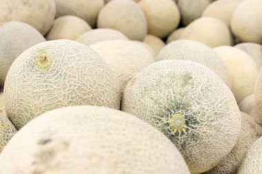 Kavun karpuz yığını