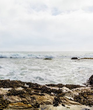 Kayalık okyanus kenarı