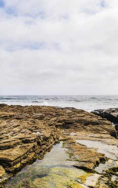 Kayalık Beach Shoreline