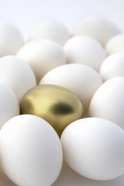 Változatossá a fészekben lévő tojás — Stock Fotó