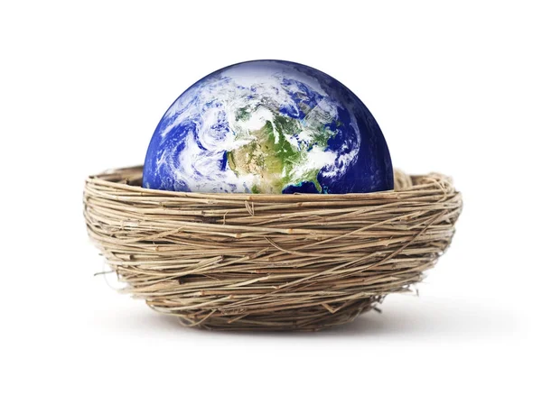 Bir kuş yuva izole gezegen