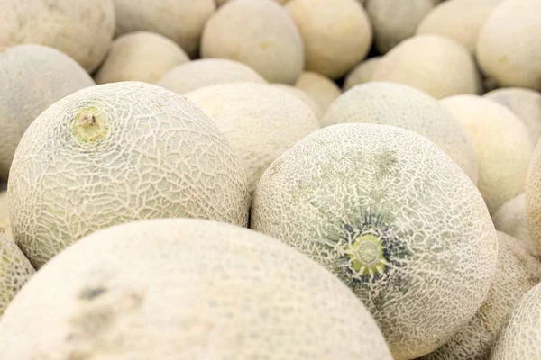 Kavun karpuz yığını