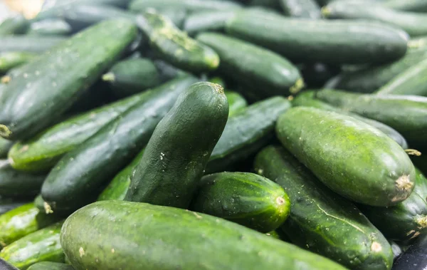 Salatalık arka plan deseni