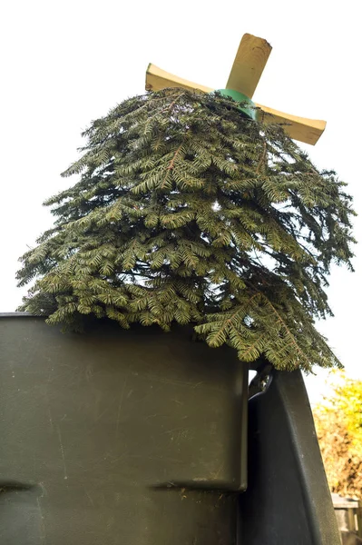 Stare drzewo Christmas kosza — Zdjęcie stockowe