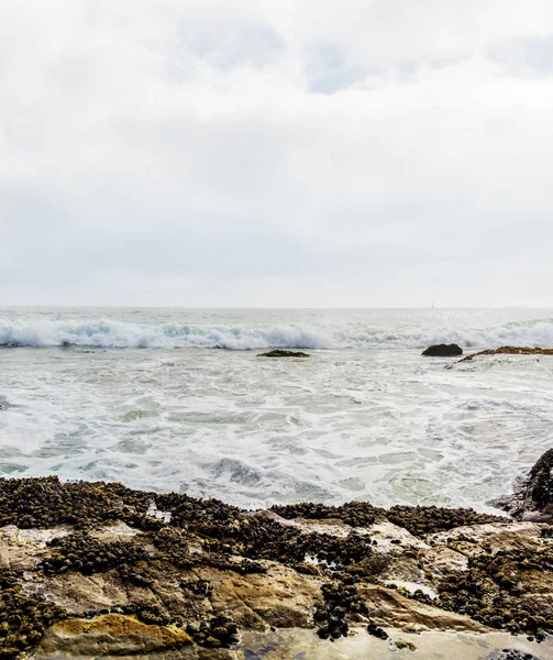 Kayalık okyanus kenarı