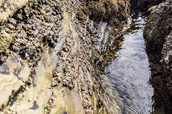 Su akışı Cliff geçiş — Stok fotoğraf