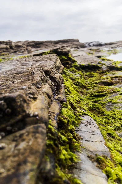 바위 가장자리 배경 — 스톡 사진