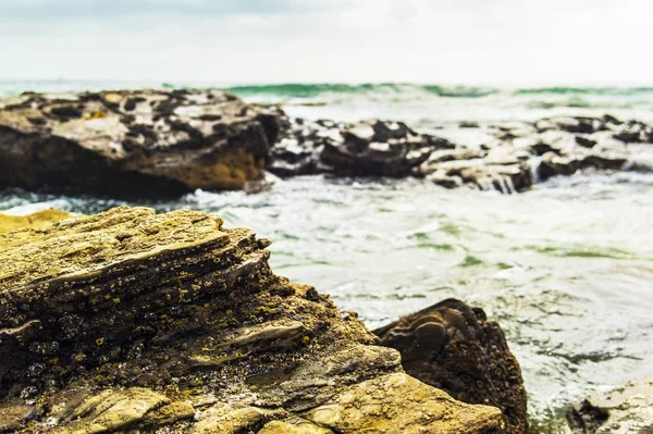 Gün batımında dalgalı denizler