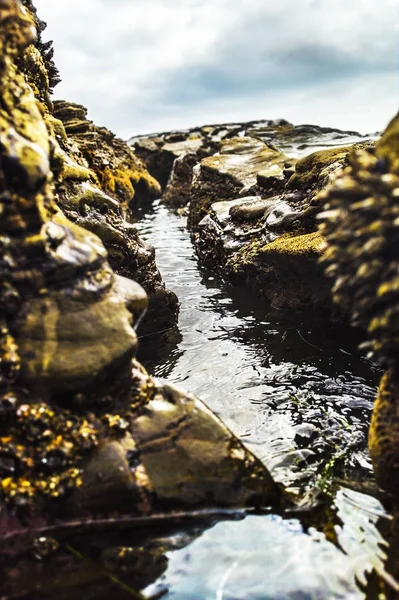 Su kaya oluşumu — Stok fotoğraf