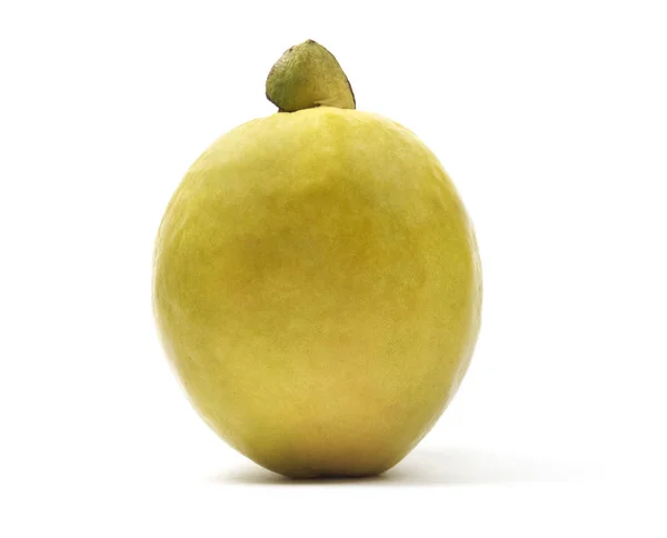 Isolated Yellow Guava — Stock Photo, Image