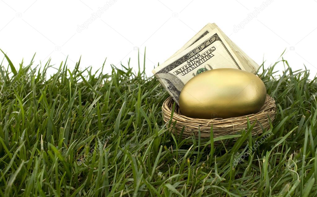 Nest Egg Retirement