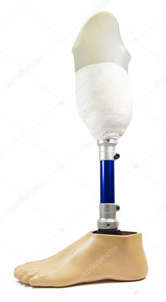 Isolated Prosthetic Leg and Foot