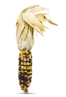 İzole mısır kabuğu ile