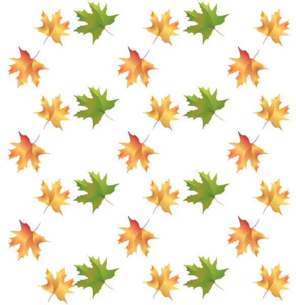 A bright autumn pattern — Stock Vector