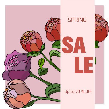 Klasik çiçek satışı kartı, doğal peonies, doğal botanik vektör çizim buket