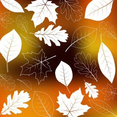 Sonbahar vektör yaprakları arka plan