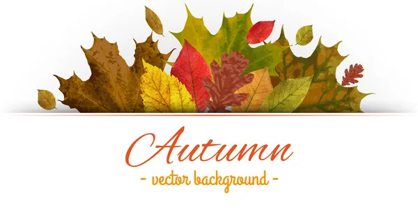 Otoño Temático Vector Hojas Backgound — Vector de stock