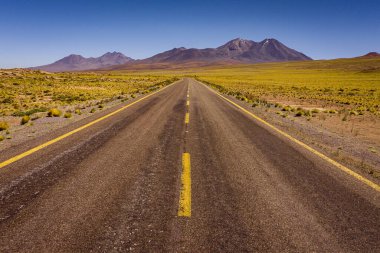 Miscanti yolu. San Pedro de Atacama, Antofagasta Şili. Çöl.