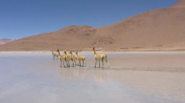 Bolivya 'nın güneyinde Polques kaplıcalarında hava çekimi.