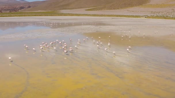 Foto aérea en las aguas termales de Polques - Sur de Bolivia . — Vídeos de Stock