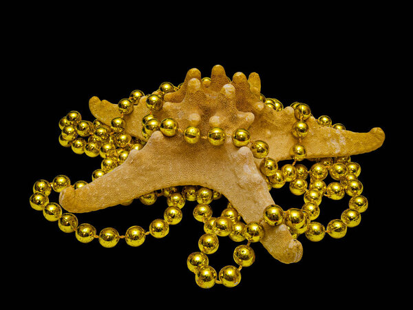 Starfish Entangled in Beautiful Golden Beads, Macro Shot, Isolat