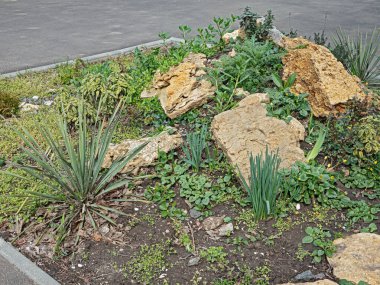 Odessa 'nın Suvorov Bölgesi' ndeki Asfalt Köşkü 'nde küçük bir Alp Tepesi kurulmuştur.