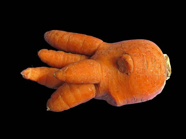 Zanahoria Inusual Como Cepillo Humano Aislado Sobre Fondo Negro — Foto de Stock