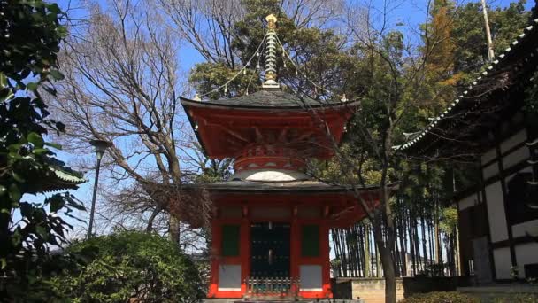 Centro Torre Doble Disparó Aizenin Nerima Tokio Templo Tradicional Tokio — Vídeo de stock