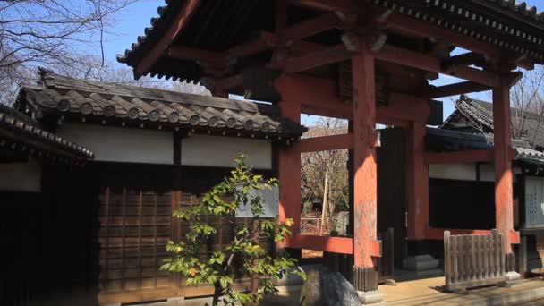 Entrada Izquierda Templo Aizenin Nerima Templo Tradicional Tokio Cámara Canon — Vídeos de Stock
