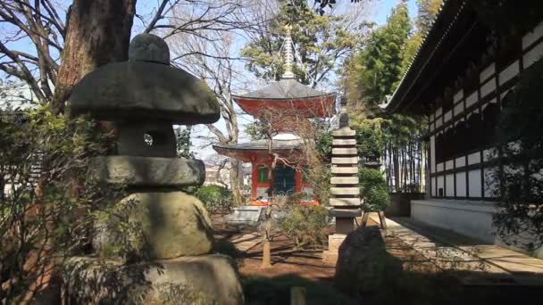 Lykta Och Dubbel Torn Aizenin Nerima Tokyo Dess Traditionell Templet — Stockvideo