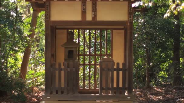 Lanterne Dans Cabane Plan Milieu Temple Aizenin Nerima Son Temple — Video