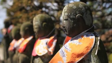  odak Aizenin tapınakta geri ön besleme Jizo heykel. Onun Tokyo geleneksel bir tapınak. fotoğraf makinesi: Canon Eos 7d