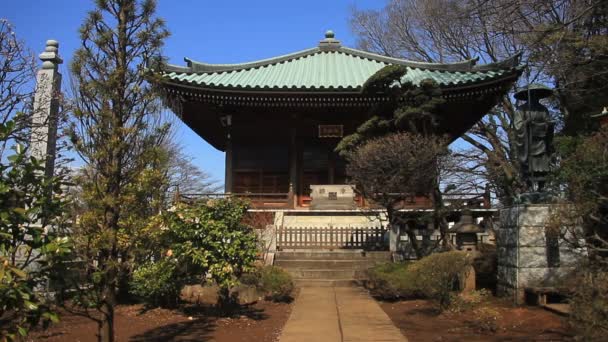 Centro Del Santuario Principal Disparó Aizenin Nerima Tokio Templo Tradicional — Vídeo de stock
