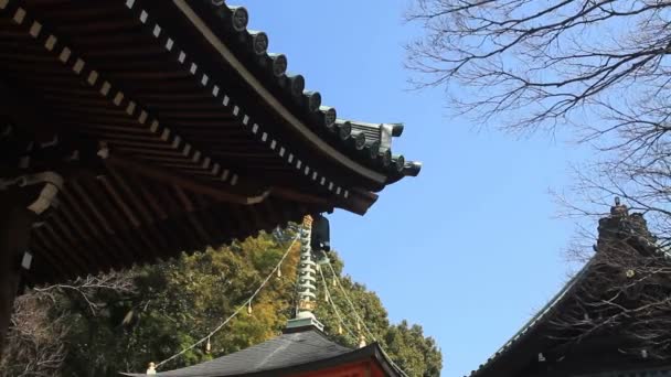 屋顶瓷砖右侧在 Aizenin 寺在练马区 它是东京的一座传统寺庙 摄像头 Eos — 图库视频影像
