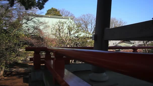 寺庙通过桨 Aizenin 在练马区在东京 它是东京的传统神社 摄像头 Eos — 图库视频影像