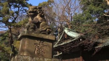 Bahçe köpek Komainu Hikawa tapınak Nerima içinde alt tapınakta arkasında. Onun Tokyo geleneksel bir tapınak. fotoğraf makinesi: Canon Eos 7d