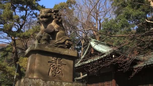 Gardian Cão Komainu Atrás Sub Templo Santuário Hikawa Nerima Santuário — Vídeo de Stock