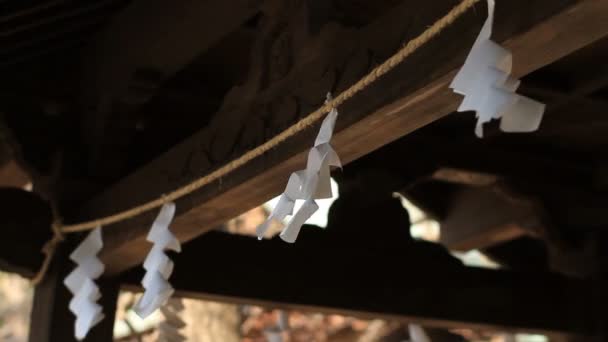 氷川神社氷川神社練馬の Chozuya 屋根の上 その東京の伝統的な神社 カメラ キヤノン Eos — ストック動画