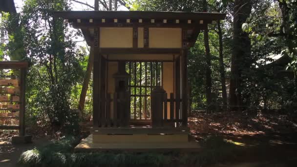 Hikawa Santuário Lanern Casa Santuário Hikawa Nerima Santuário Tradicional Tóquio — Vídeo de Stock