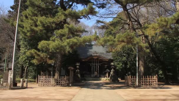 Hikawa Ιερό Κύρια Είσοδο Μέση Πυροβολισμό Στο Hikawa Παρεκκλήσι Στο — Αρχείο Βίντεο