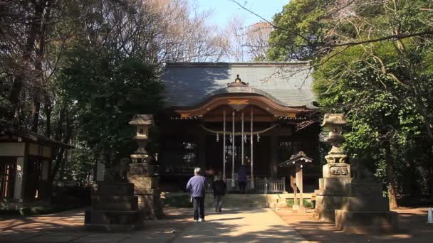 在练马区的冰川神社冰川神社主庙 它是东京的传统神社 摄像头 Eos — 图库视频影像