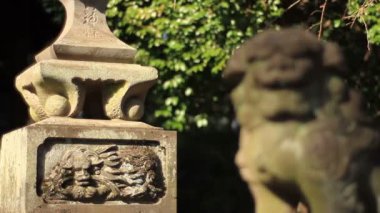 Fener Bahçe köpek Hikawa tapınak Nerima içinde Komainu arkasında. Onun Tokyo geleneksel bir tapınak. fotoğraf makinesi: Canon Eos 7d